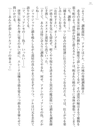 性隷剣士エレーナ Page #34