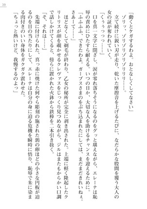 性隷剣士エレーナ Page #39