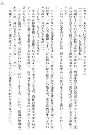 性隷剣士エレーナ Page #113