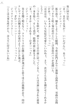 性隷剣士エレーナ Page #41