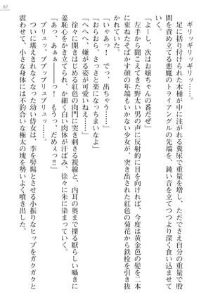 性隷剣士エレーナ Page #87
