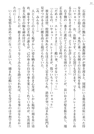性隷剣士エレーナ Page #84
