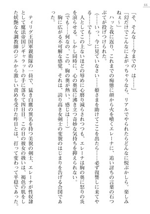 性隷剣士エレーナ Page #66