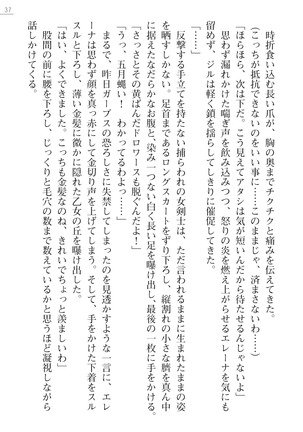 性隷剣士エレーナ Page #37