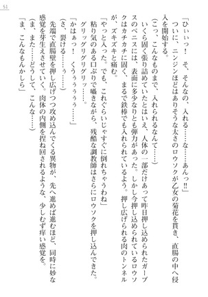 性隷剣士エレーナ Page #51