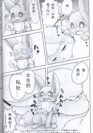 ブイズNLアンソロR18本【東Ｌ32a 】 Page #20