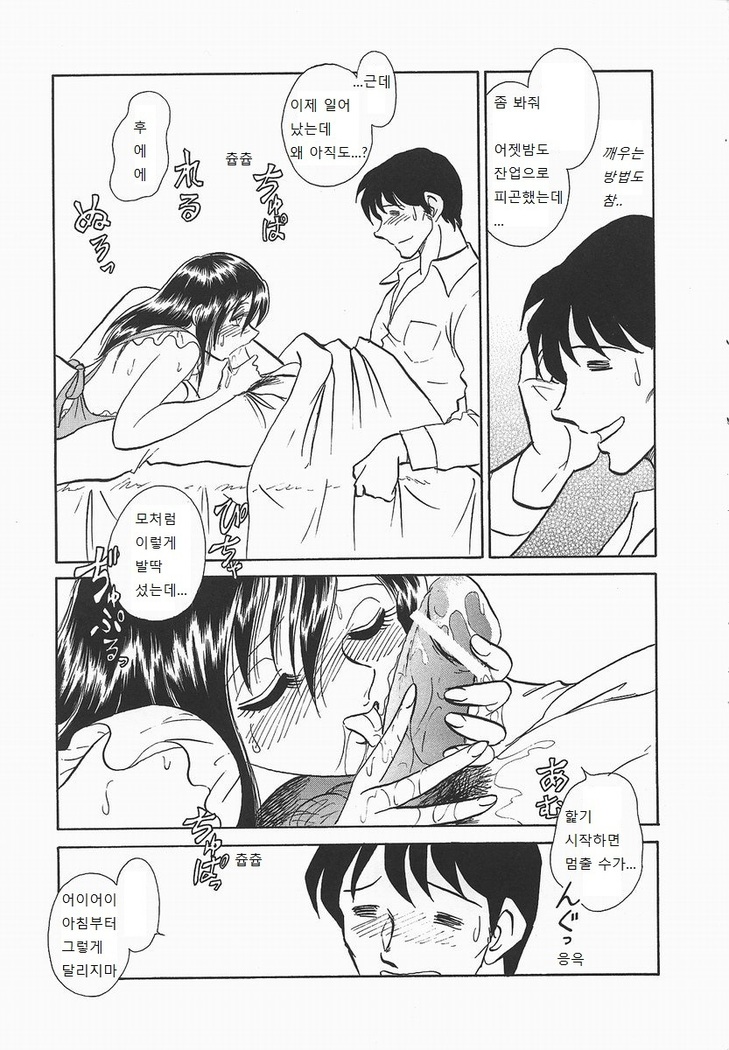 Midarana Kagaijugyou