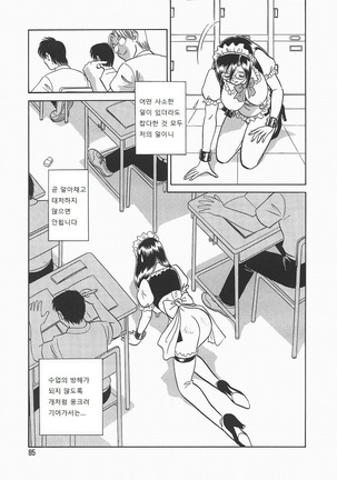 Midarana Kagaijugyou Page #89