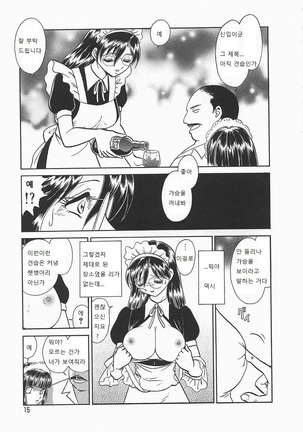Midarana Kagaijugyou Page #19
