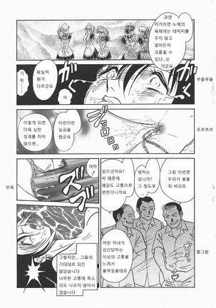 Midarana Kagaijugyou Page #27