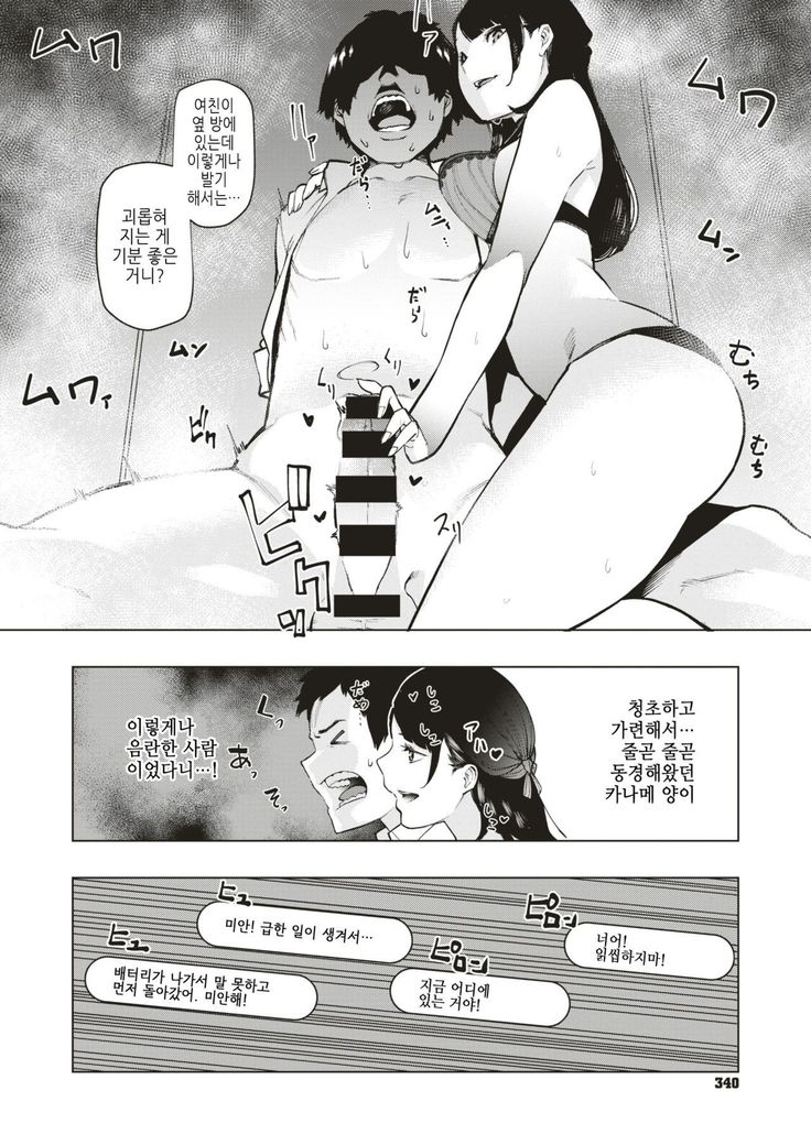 Shiroi Otegami | 하얀 편지
