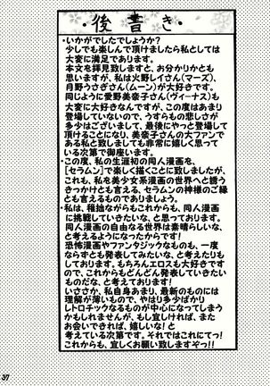 [Erosu daikichi] usa koto Rei-chan no mutchimuchi shasei jigoku-hen (Sailor Moon) - Page 37