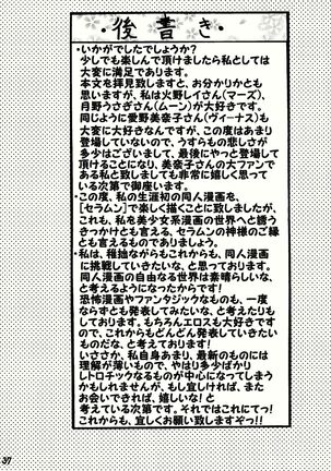[Erosu daikichi] usa koto Rei-chan no mutchimuchi shasei jigoku-hen (Sailor Moon) Page #37
