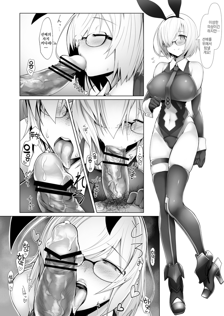 Chaldea Bunny Bu | 칼데아 바니걸부