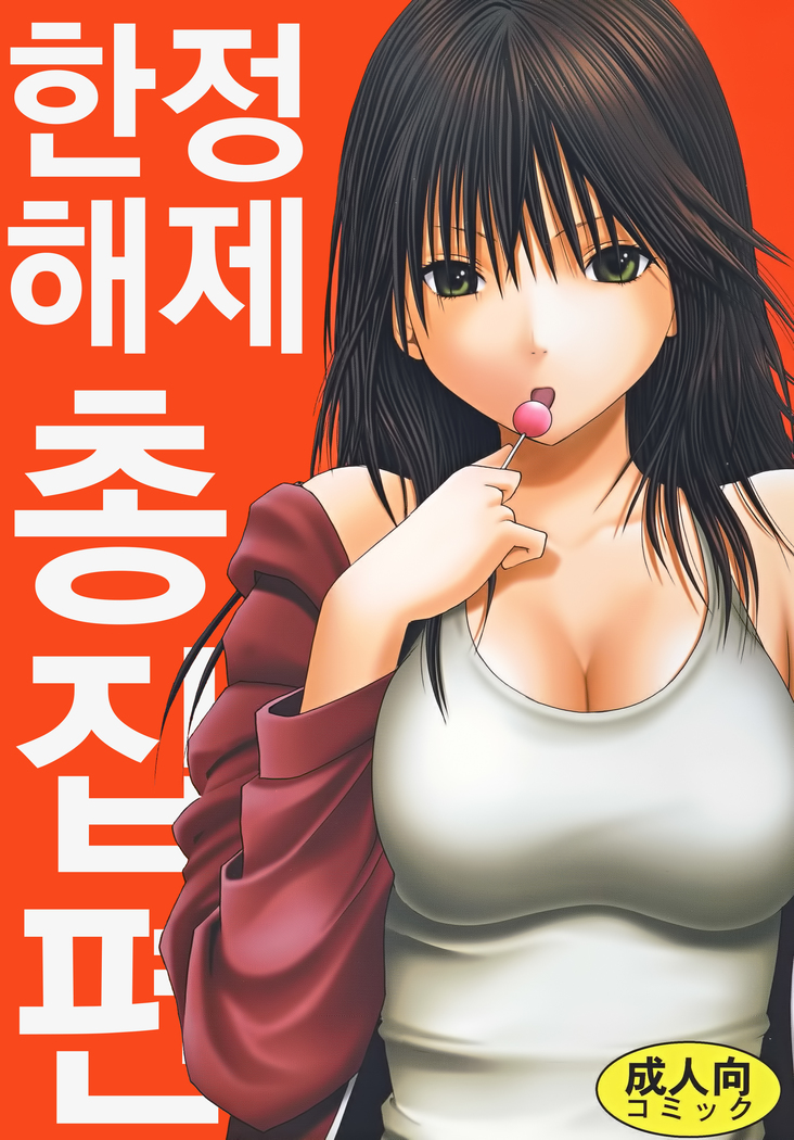 Gentei Kaijo Soushuuhen (Hatsukoi Limited) | 한정해제 총집편