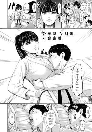 Haruko Oneechan no Oppai Keiko | 하루코 누나의 가슴훈련 Page #3