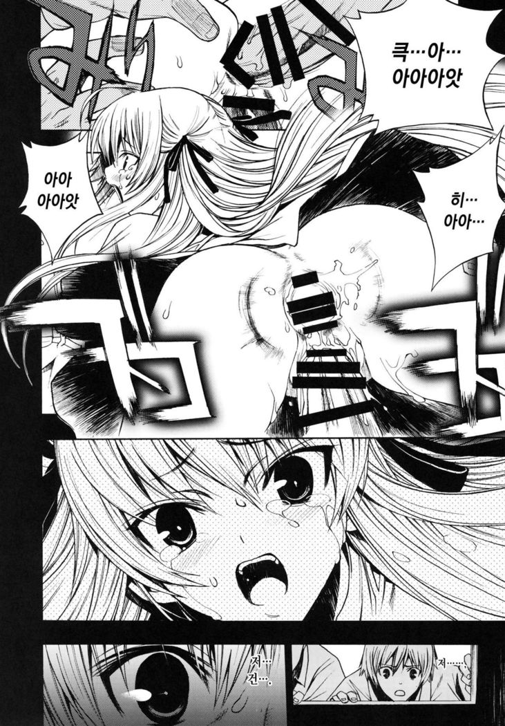 Yosuka no Yoru