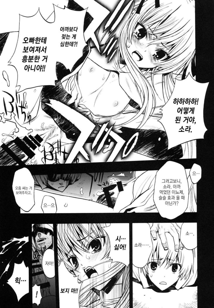 Yosuka no Yoru