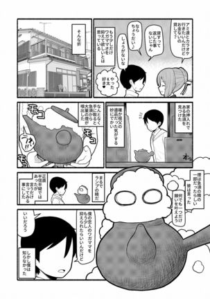 Donna Negai mo Eroi Katachi de Kanaete Shimau Kyusu no Seirei - Page 3