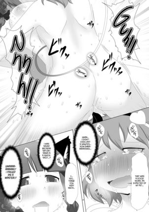 Chireiden no Chijou Page #29