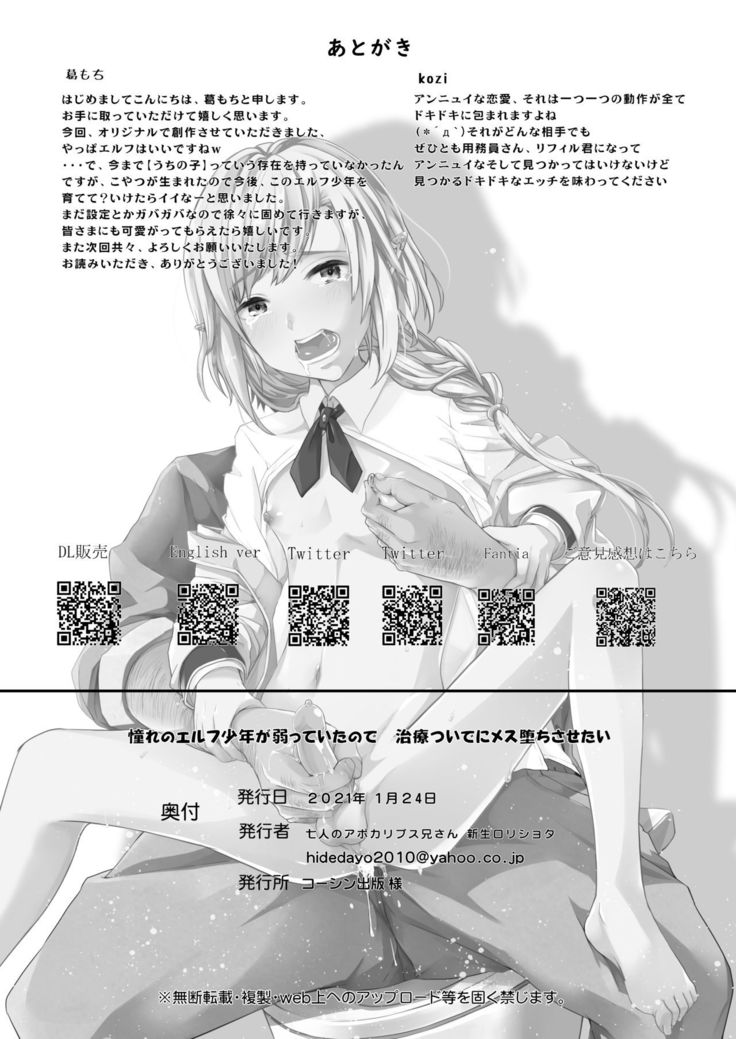 Akogare no Elf Shounen ga Yowatte ita node Chiryou Tsuide ni Mesu Ochi sasetai