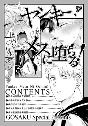 Yankee, Mesu ni Ochiru! | 不良雌堕! Ch. 1-2 Page #2