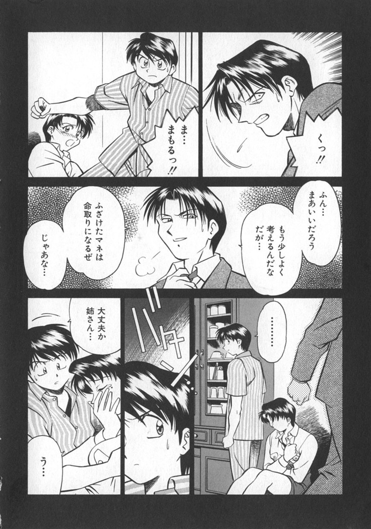 Reimia Yoruzu Company