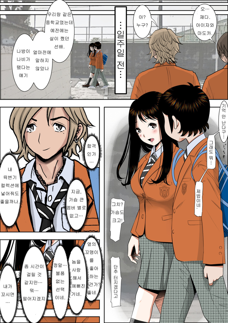 Charao ni Netorare Vol. 1 | 양아치에게 네토라레 Vol 1