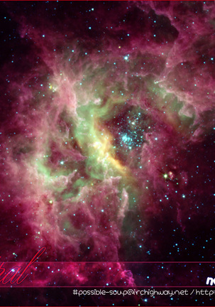 Image 11329814