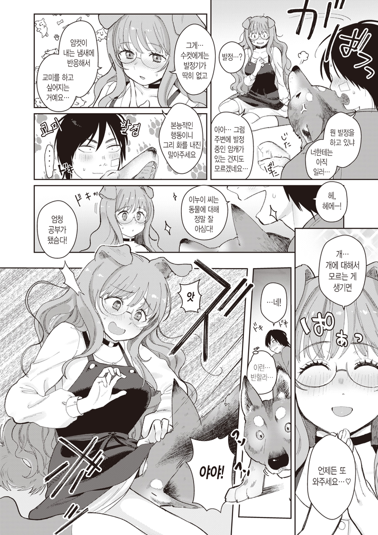 Dog Girl Wolf Boy | 도그 걸 울프 보이
