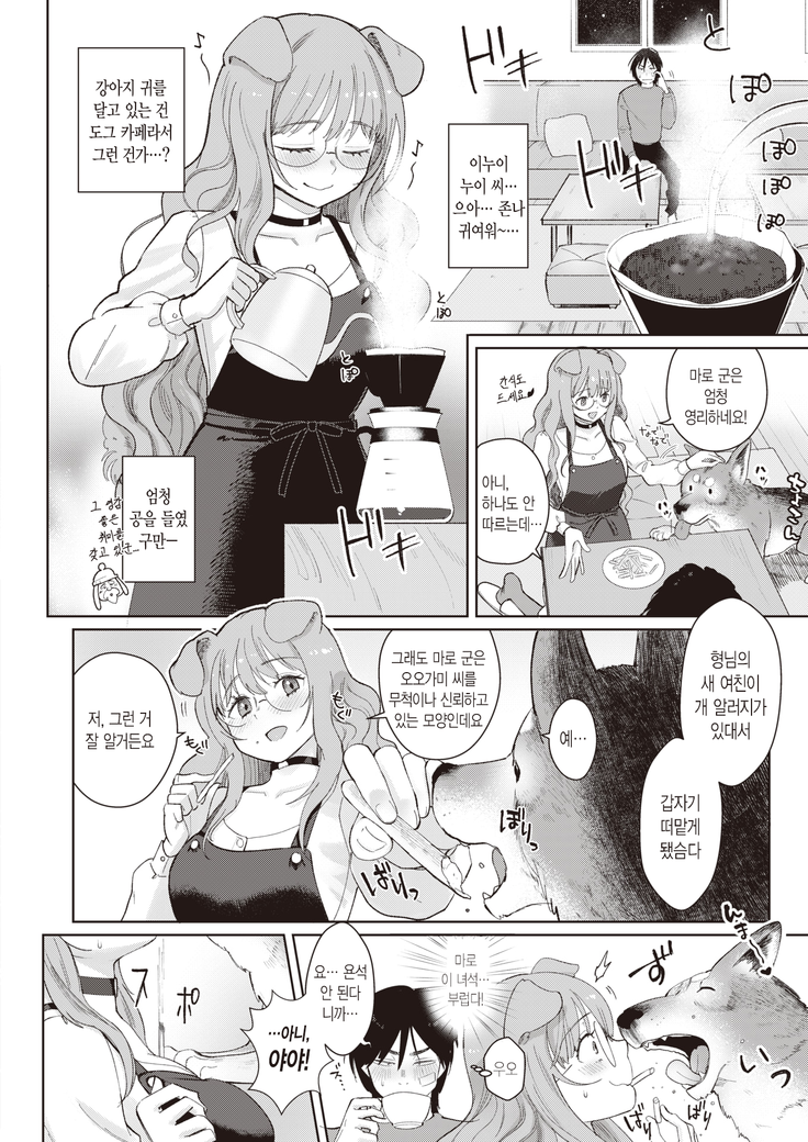 Dog Girl Wolf Boy | 도그 걸 울프 보이