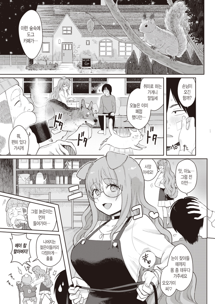 Dog Girl Wolf Boy | 도그 걸 울프 보이