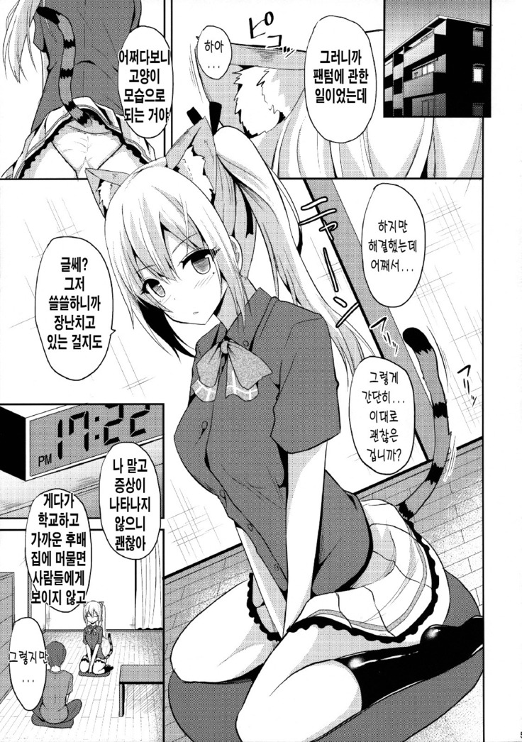 Nekomimi Mai Senpai