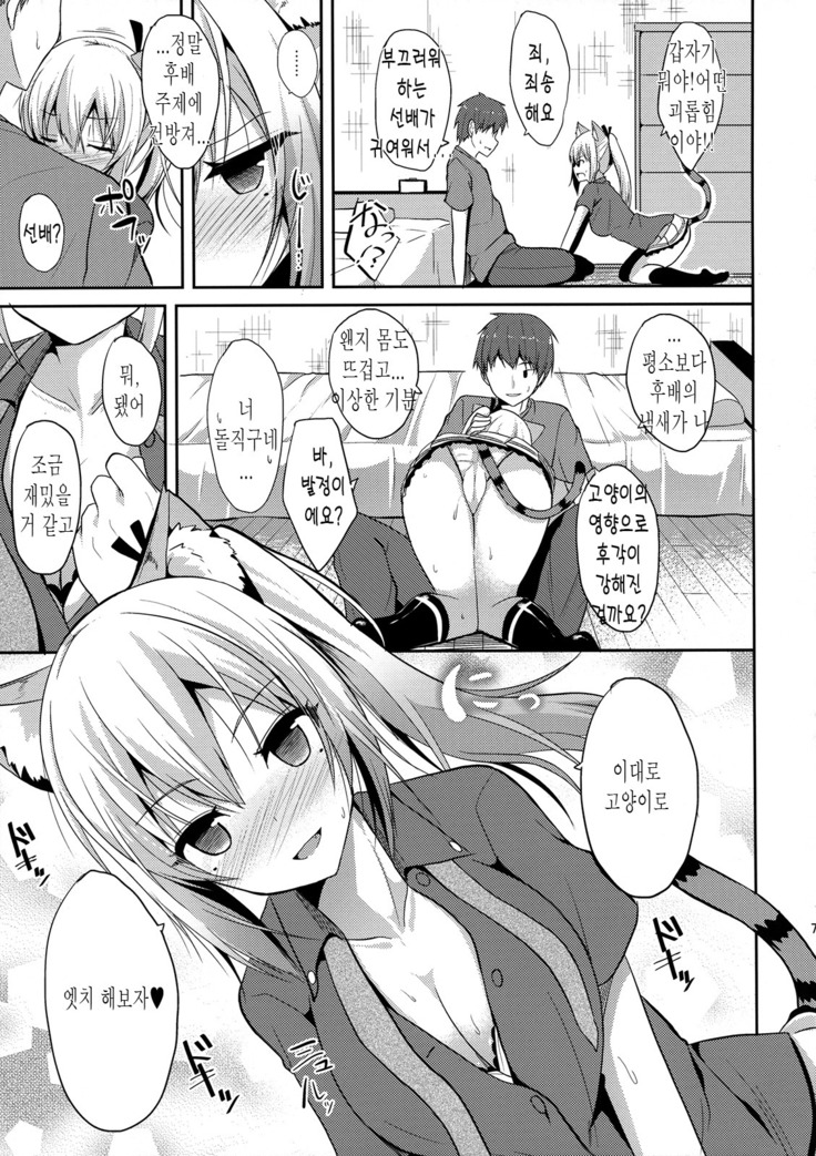 Nekomimi Mai Senpai