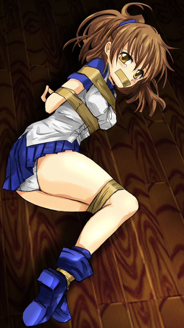 Rensa Shibari