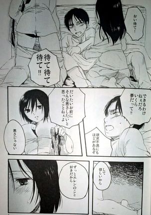 21-sai to 9-sai no Mikasa ni Aisarete Yoru mo Nemurenai Eren no Hanashi