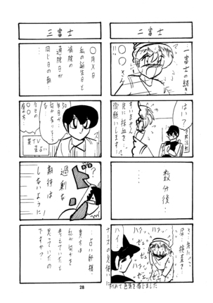 フェアリィセイバー VOL2A - Page 29