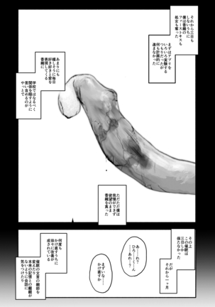 催眠アプリケーション実験記録1 Page #44