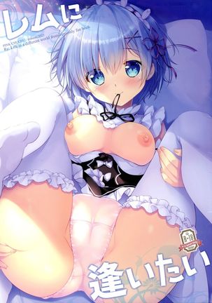 [PINK CHUCHU (Mikeou)] Rem Ni Aitai (Re:Zero kara Hajimeru Isekai Seikatsu)[Chinese]【不可视汉化】