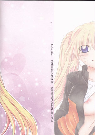 Kimi dake ni Wagamama o Page #27