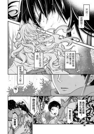 Image 4064079