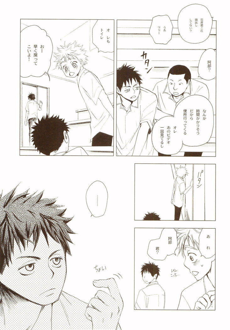 Akanesasuhibi