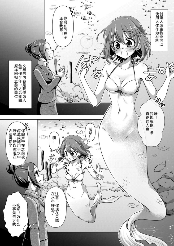 Memories of a Mermaid |  美人鱼的回忆