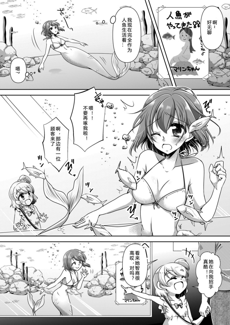 Memories of a Mermaid |  美人鱼的回忆