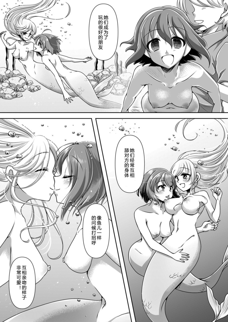 Memories of a Mermaid |  美人鱼的回忆