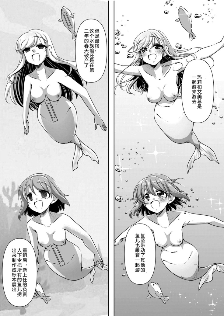 Memories of a Mermaid |  美人鱼的回忆