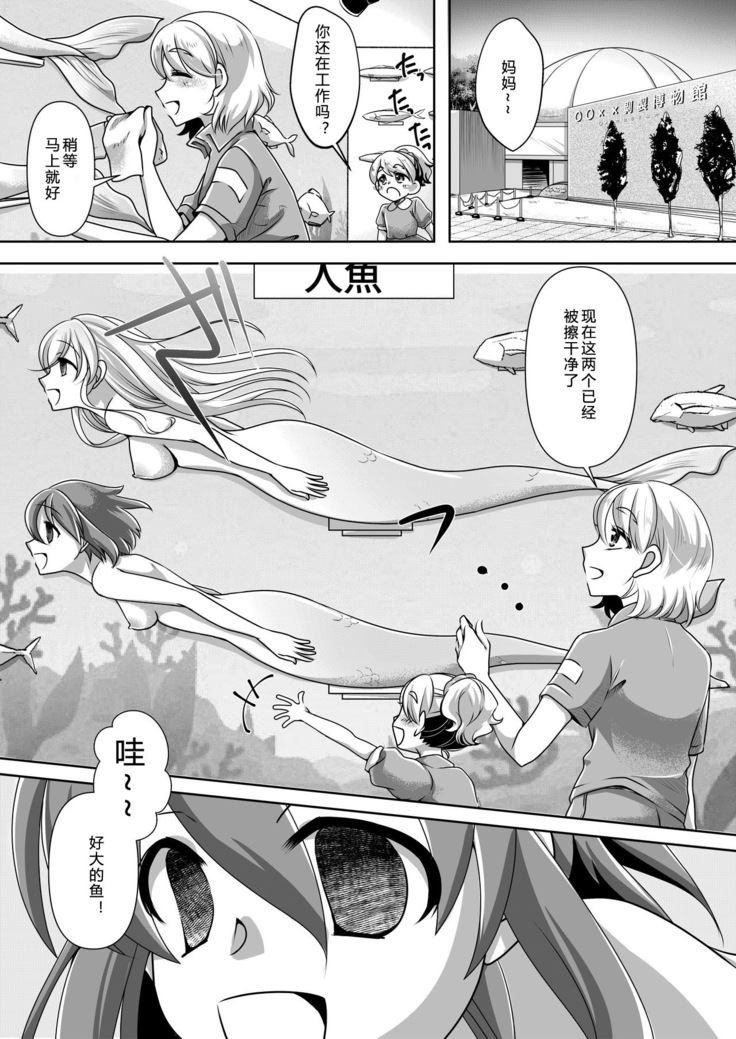 Memories of a Mermaid |  美人鱼的回忆