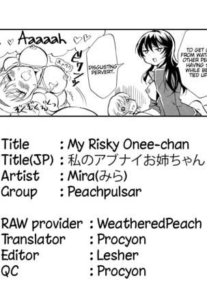 Watashi no Abunai Onee-chan | My Risky Onee-chan Page #17