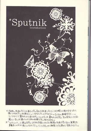 Sputnik Introduction