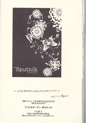 Sputnik Introduction Page #24